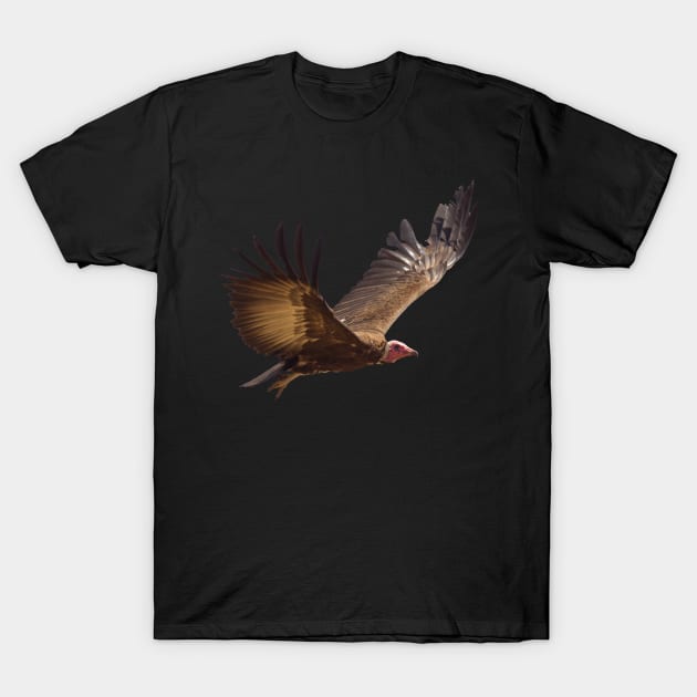 Vulture Birds Tee Present T-Shirt Bird Nature T-Shirt by gdimido